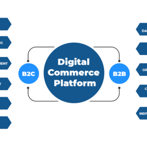 B2B & B2C E-Commerce Platform Setup